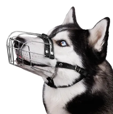Produktbild von Maulkorb aus Metall für große Hunde