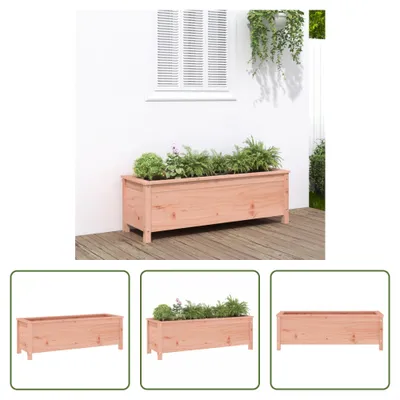 Produktbild von The Living Store Hochbeet 119,5x40x39 cm Massivholz Douglasie
