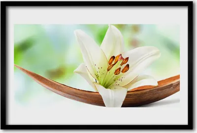 Produktbild von Bild 60x40 MDF-Rahmen Wandkunst Natur Blume Pflanze