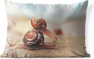 Produktbild von MuchoWow® Outdoor Kissen - Schnecken - Stein - Tiere - 50x30 cm - Wetterfest - Lounge Kissen - Sofa kissen - Wohnzimmer Dekoration