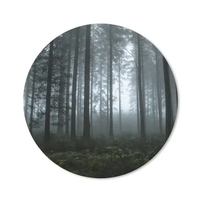 Produktbild von MuchoWow® Mauspad Mousepad Wald - Licht - Nebel 30x30 cm - Mousepads - Maus Mat - Pad - Mausunterlage - Tischunterlage - Schreibtischmatten