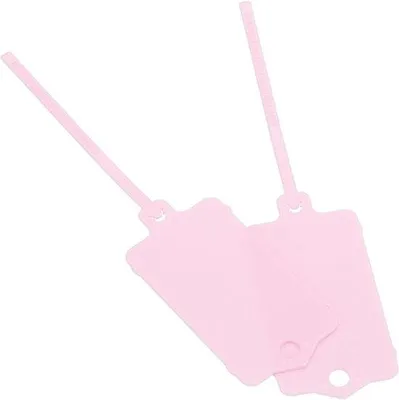 Image de Porte-clés en plastique rose, lot de 25, 3,8 x 6,4 cm