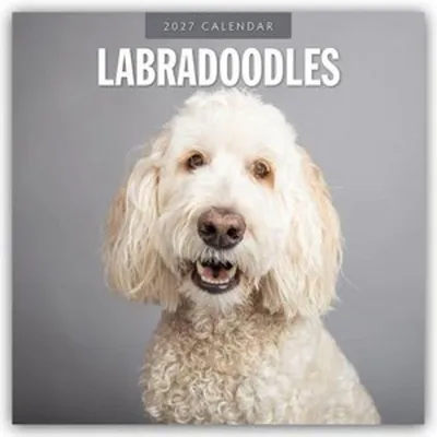 Immagine prodotto di Labradoodle - Calendario 2027 (16 mesi)