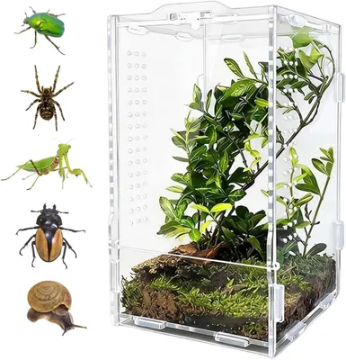 Imagen del producto de Mini terrario de acrílico, transparente, de 12 x 12 x 20 cm, para insectos