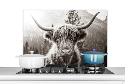 Obrázok produktu pre MuchoWow® Splashback Kuchyňa - Kuchynský backsplash - Ochrana steny pre sporák a drez Škótsky horal - Zvieratá - Čierna - Biela 80x55cm Alu-Dibond