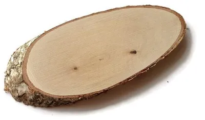 Produktbild von Birkenholzscheibe, längs, abgeschrägt, 30–35 cm, geschliffen