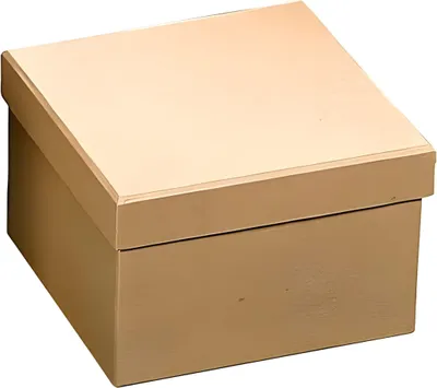 Produktbild von KNORR PRANDELL 218735801 Box 15 x 15 x 10 cm Pappe natur