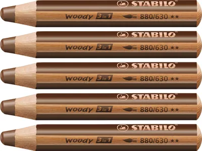 Produktbild von Buntstift, Wasserfarbe & Wachsmalkreide - STABILO woody 3 in 1 - 5er Pack - braun