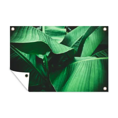 Obrázek produktu pro MuchoWow® Zahradní plakáty - Listy - zelené - tropické - 60x90 cm - Zahradní dekorace