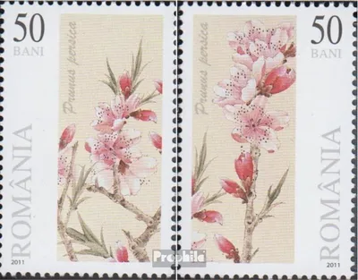 Produktbild von Briefmarken Rumänien 2011 Mi 6537-6538 (kompl.Ausg.) postfrisch Pfirsichblüte