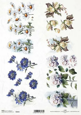 Image de ITD Papier de riz découpage Papier de bricolage Technique de la serviette-R2251 Pâquerettes, bleuets, hortensias, roses