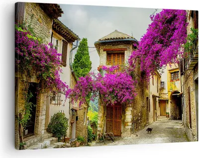 Produktbild von Bild auf Leinwand - Leinwandbild - Straße Sommer Blumen - 70x50cm - Wand Bild - Wanddeko - Leinwanddruck - Bilder - Kunstdruck - Wanddekoration - Leinwand bilder - Wandkunst - AA70x50-3589