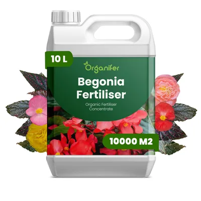 Zdjęcie produktu dla Begónia Nawóz Płynny 10 L – 2-1-8 NPK – Do Kvitnúce i Zielone Rośliny – Do Bujne Listy i Žiarivé Kwiaty – Podporuje Korzenie i Vitalitu – Organifer