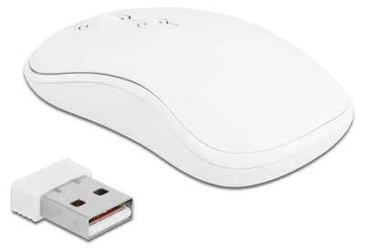 Immagine prodotto di Delock 12703 DELOCK USB Tastatur und Maus Set 2,4 GHz kabellos weiß