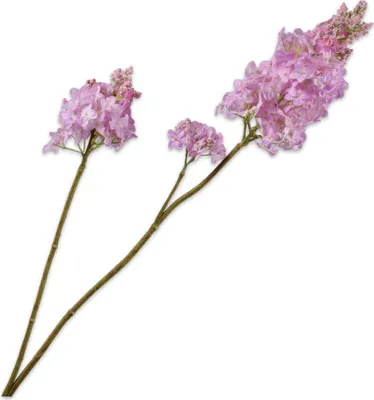 Produktbild von Kunstblume von Silk-ka – Seidenblumen-Fliederzweig, weiß-violett, 110 cm