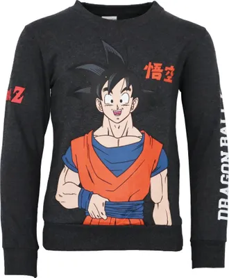 Produktbild von DragonBall Super Goku Jungen Pullover Pulli Sweater – Grau / 110