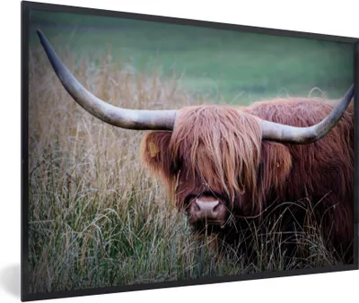 Produktbild von MuchoWow® Gerahmtes Poster Schottischer Highlander - Porträt - Rindsleder 90x60 cm - Poster mit Schwarzem Bilderrahmen Wandposter Rahmen Foto Bilder - Fotorahmen - Foto-Plakat