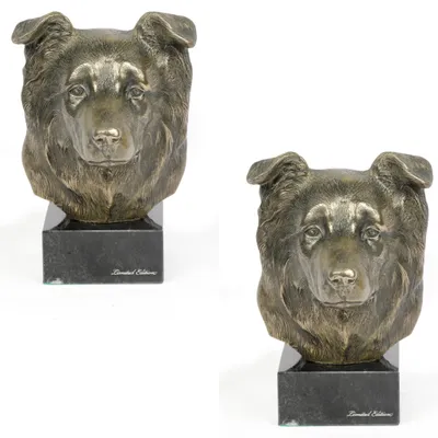 Imagen del producto de Art-Dog Busto – Border Collie – moldeado en polvo de bronce y resina