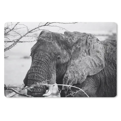 Produktbild von MuchoWow® Mauspad Mousepad Elefant - Tiere - Äste - Natur - Schwarz und weiß 27x18 cm - Mousepads - Maus Mat - Pad - Mausunterlage - Büroartikel - Desk Matten