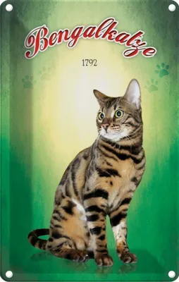 Produktbild von vianmo Blechschild 30x20 cm Katze Bengalkatze 1792 Tier Haustier