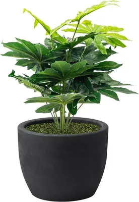 Image de Pot de fleurs en céramique italien, Ø 30 cm, anthracite