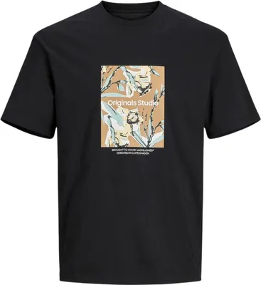 Obrázok produktu pre Pánske tričko s krátkym rukávom JACK&JONES v JORSEQUOIA