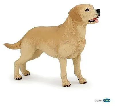 Produktbild von Papo Labrador-Retriever, 34 g