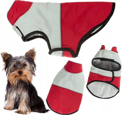 Produktbild von Hundewintermantel mit Reflektor isoliert und mit Klettverschluss befestigt Jacke S