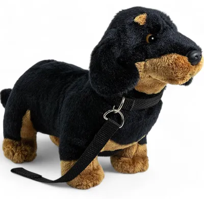 Image de Carl Dick Teckel debout noir avec laisse env. 30cm de long, 21cm de haut 3362 Doudou, peluche, animal en peluche