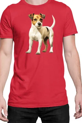 Produktbild von Herren T-Shirt Dogs Breeds Russell Terrier Dog Breed 006, Man M / Rot