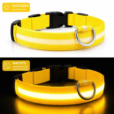 Produktbild von LED Hundehalsband USB aufladbar reflektierend Leuchthalsband verstellbar S–XL für Hunde Nacht Sicherheit inkl. Ladekabel Gr. M (37 - 46cm) - GELB