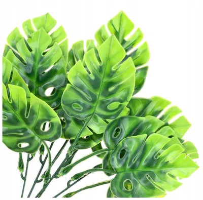 Produktbild von Czakos Monstera Zweig Künstliche Deko Blätter
