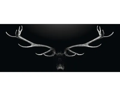 Produktbild von Glasbild Deer Antler 125x50 cm