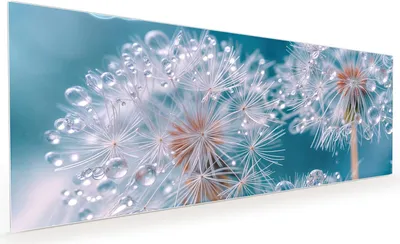Produktbild von Küchenrückwand Spritzschutz Glas mit Motiv Wassertropfen Pusteblume 40 x 40 cm