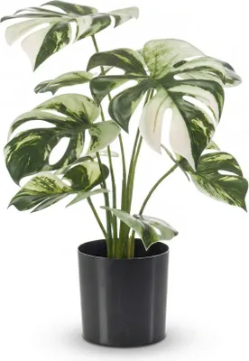 Zdjęcie produktu dla Sztuczna roślina Monstera w doniczce, 40 cm – sztuczna roślina typu „liść okienny”, niewymagająca pielęgnacji