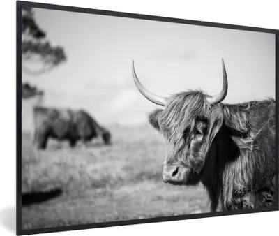 Produktbild von MuchoWow® MuchoWow® Gerahmtes Poster Schottisches Hochlandrind - Tiere - Schwarz - Weiß 60x40 cm - Poster mit zchwarzem Bilderrahmen - Printing - Wanddeko Schlafzimmer