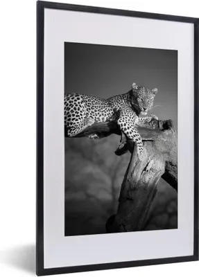 Produktbild von MuchoWow® Gerahmtes Poster Panther - Baum - Tiere - Schwarz - Weiß 40x60 cm - Poster mit Schwarzem Bilderrahmen Wandposter Rahmen Foto Bilder - Poster in Rahmen
