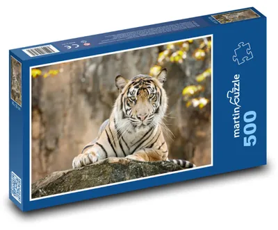 Obrázek produktu pro Puzzle 500 Majestátní tygr v džungli - martinpuzzle