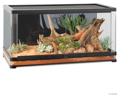 Productafbeelding van Exo Terra Vista Panoramic Terrarium | 120 x 60 x 60CM