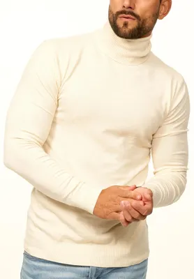 Produktbild von DAILY Baumwolle Herren Rollkragenpullover als Feinstrick Pulli in Slim Fit für Herren Männer Winterpullover - Casual & Business Look Rolli