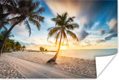 Produktbild von MuchoWow® Poster Sonnenuntergang - Strand - Palme 30x20 cm - Plakate - Print