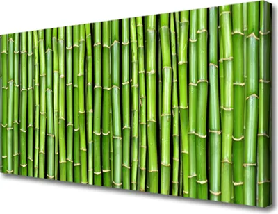 Produktbild von Tulup Leinwand-Bilder 100x50 Wandbild Canvas Kunstdruck Bambus Pflanzen