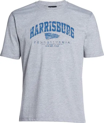 Produktbild von Übergrößen T-Shirt Harrisburg Blau AHORN SPORTSWEAR grey melange 3XL