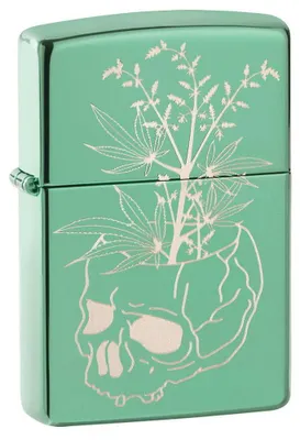 Produktbild von ZIPPO – Botanical Design - High Polish Green – Sturmfeuerzeug, nachfüllbar, in h
