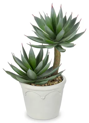 Immagine prodotto di Pianta artificiale in vaso di cemento bianco - Succulente decorative per interni ed esterni