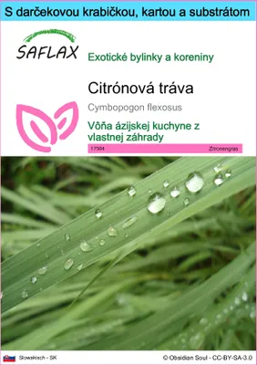 Obrázok produktu pre SAFLAX Darčeková sada - citrónová tráva - Cymbopogon flexosus - 50 Semená - S darčekovou krabičkou, prepravným štítkom, darčekovou kartou a pestovateľským médiom