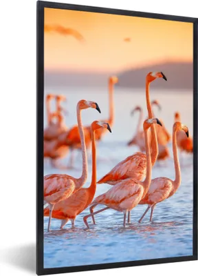 Produktbild von MuchoWow® Gerahmtes Poster Flamingo - Tiere - Wasser - Rosa 60x90 cm - Poster mit Schwarzem Bilderrahmen Wandposter Rahmen Foto Bilder - Kunst