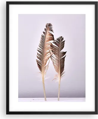 Produktbild von Gerahmtes Poster - Schwarzer Rahmen - Zwei Federn Flieder - 40x50 cm - Wand Bild - Wanddeko - Wandbilder - Kunstposter - Wandposter - Bilderrahmen - Bilder - Kunstdruck - Wandbild - P2BPA40x50-4335