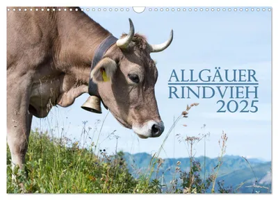 Produktbild von Allgäuer Rindvieh 2025 (Wandkalender 2025 DIN A3 quer), CALVENDO Monatskalender: Ein Kalender für alle Allgäu- und Kuhliebhaber. (CALVENDO Tiere)