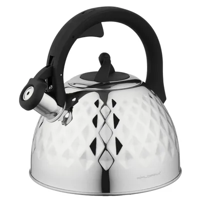 Produktbild von Wasserkessel INDUKTION Flötenkessel EDELSTAHL Teekessel Silbern FLORINA 3,2 l